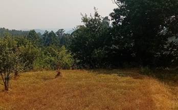 venta terrenos solares resto provincia porri?o (o)