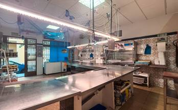 venta local pilar de la horadada la torre de la horadada