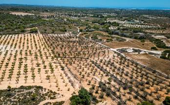 terrenos solares en venta sucina