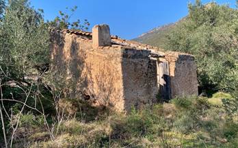 74 terrenos y fincas en venta roquetes