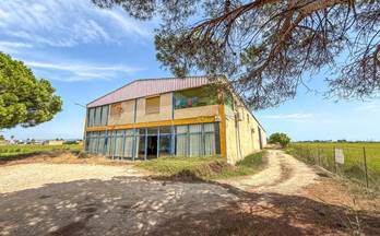 venta local deltebre deltebre