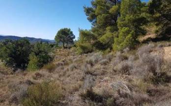 63 terrenos y fincas en venta guadalest