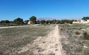 26 terrenos y fincas en venta monforte del cid