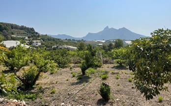 76 terrenos y fincas en venta parcent