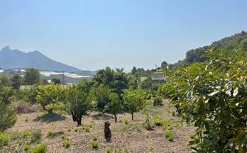 venta terrenos solares callosa d´en sarria 