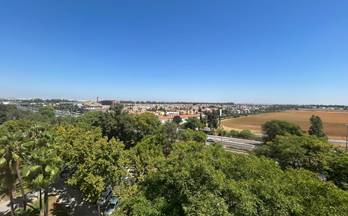 alquiler piso montequinto 