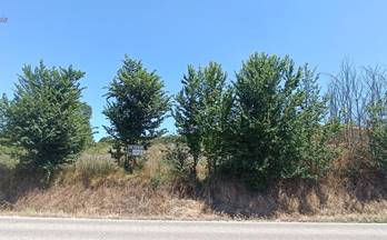 venta terrenos solares cardeñadijo castilla y leon