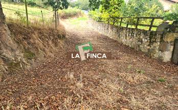 46 terrenos y fincas en venta latores