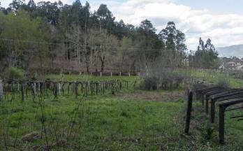 venta terrenos solares resto provincia porri?o (o)