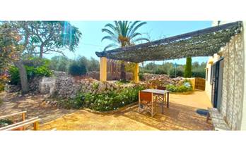 27 terrenos y fincas en venta es castell