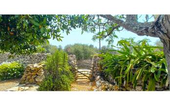 31 terrenos y fincas en venta es castell