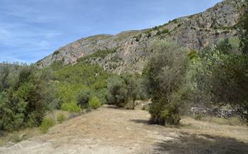 71 terrenos y fincas en venta benimantell