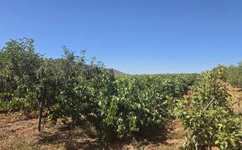 venta terrenos solares laujar de andarax south of spain