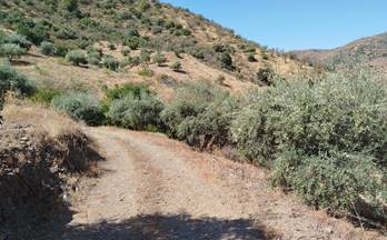 84 terrenos y fincas en venta almachar