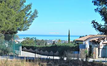 133 casas en venta pego