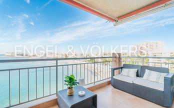 alquiler apartamento torrevieja playa los locos