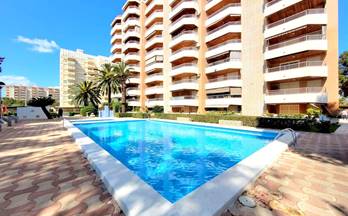 alquiler apartamento gandia playa de gandia