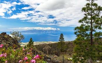 venta terrenos solares guia de isora 