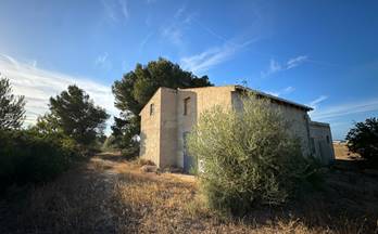 95 terrenos y fincas en venta santa margalida