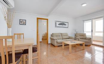 1055 pisos en venta los montesinos