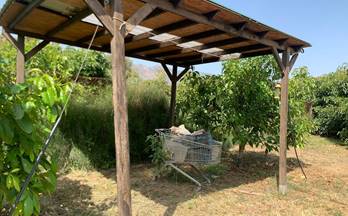 venta finca rustica velez de benaudalla surtidor