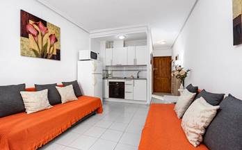 venta estudio torrevieja estacion de autobuses