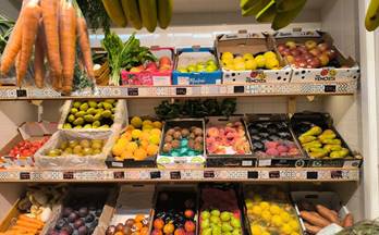 alquiler local valencia ciutat vella