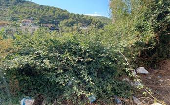 venta terrenos solares castellet i la gornal urb. los rosales