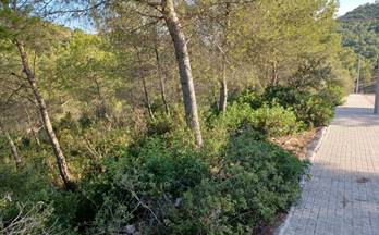 venta terrenos solares castellet i la gornal trencarroques