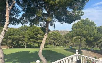 858 casas en venta torrevieja