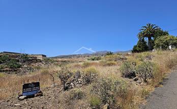 13 terrenos y fincas en venta tijoco