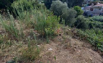 venta terrenos solares cunit los rosales