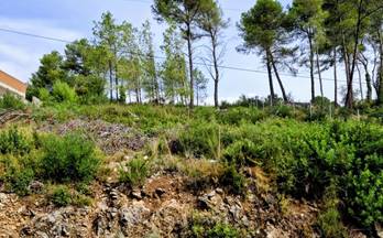 venta terrenos solares olivella les colines-cal surià