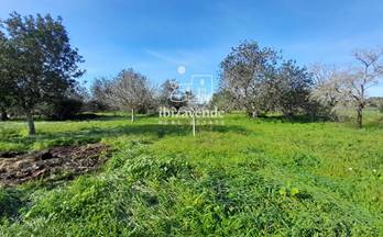 34 terrenos y fincas en venta ibiza islas baleares