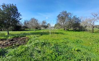 venta terrenos solares san lorenzo de balafia 