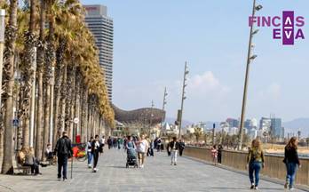 venta local barcelona capital ciutat vella