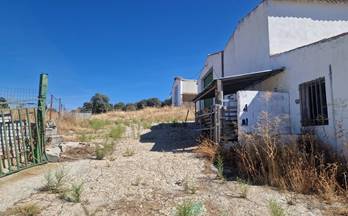 alquiler terrenos solares colmenar viejo paraje valfondo