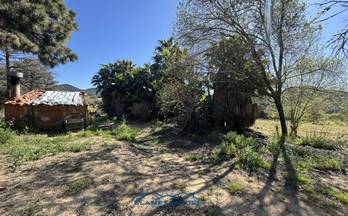 55 terrenos y fincas en venta blanes