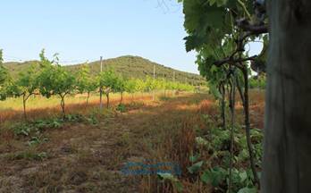 76 terrenos y fincas en venta vidreres