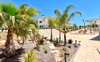 21 pisos en venta campos