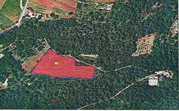 203 terrenos y fincas en venta javea xabia