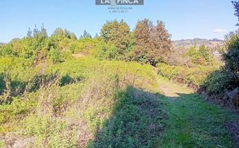 35 terrenos y fincas en venta pravia