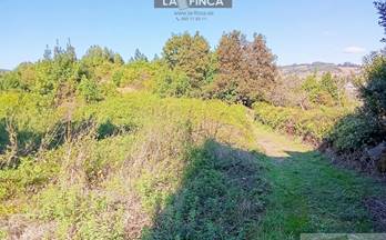 venta finca rustica pravia los cabos