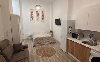 alquiler piso malaga bailen-miraflores