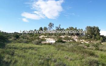 230 terrenos y fincas en venta valencia provincia