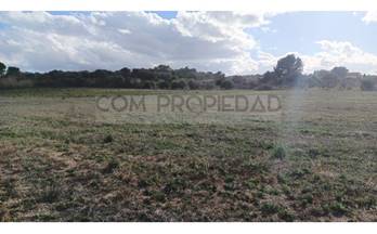 31 terrenos y fincas en venta manacor