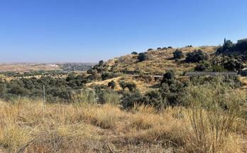 venta terrenos solares toledo san bernardo