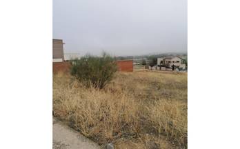 4 terrenos y fincas en venta pulgar