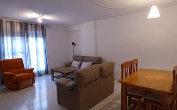 19 pisos en alquiler pechina