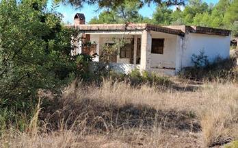 22 terrenos y fincas en venta l´ alcora